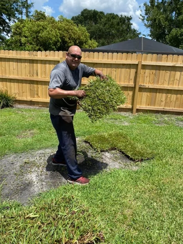 Top-rated landscape design for residential properties across Plant City, FL - MS Landscaping of Florida