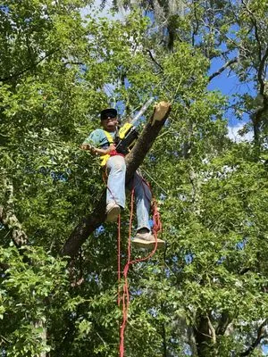 MS Landscaping of Florida