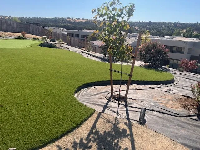 Local landscape installation with custom design across Foothill Farms, CA - M's Landscaping Services