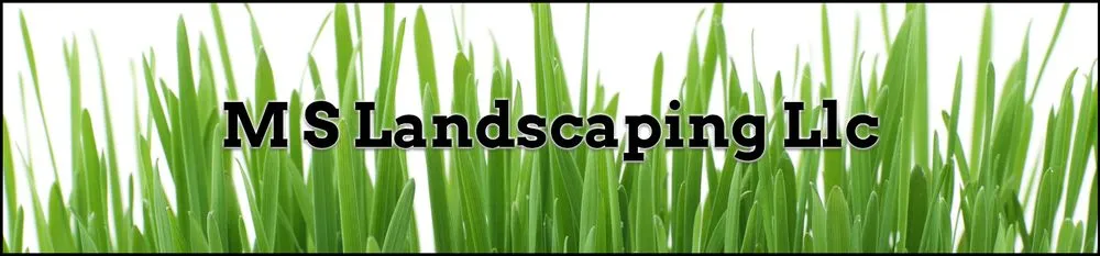 Professional yard cleanup service in Tucson, AZ - MS Landscaping