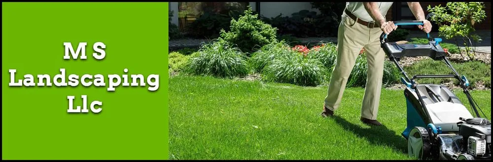 Professional yard cleanup service for outdoor upgrades across Tucson, AZ - MS Landscaping