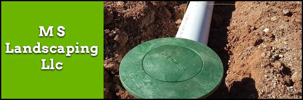 Custom lawn mowing service experts serving Tucson, AZ - MS Landscaping