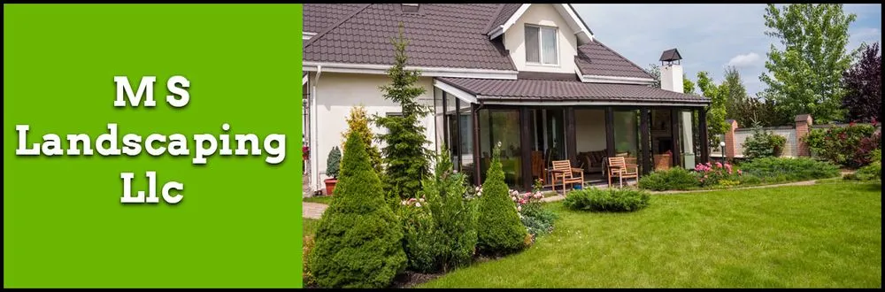 Expert lawn mowing service for homes in Tucson, AZ by MS Landscaping