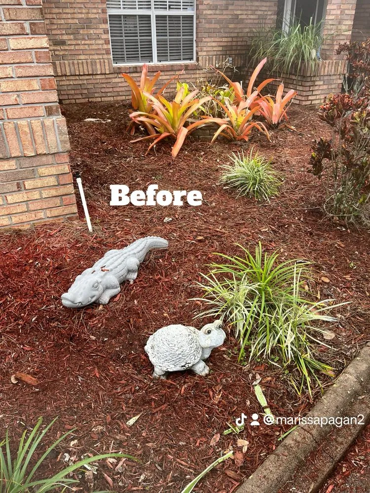 Reliable landscape installation for beautiful yards across Melbourne, FL - Ms Lawn Barber