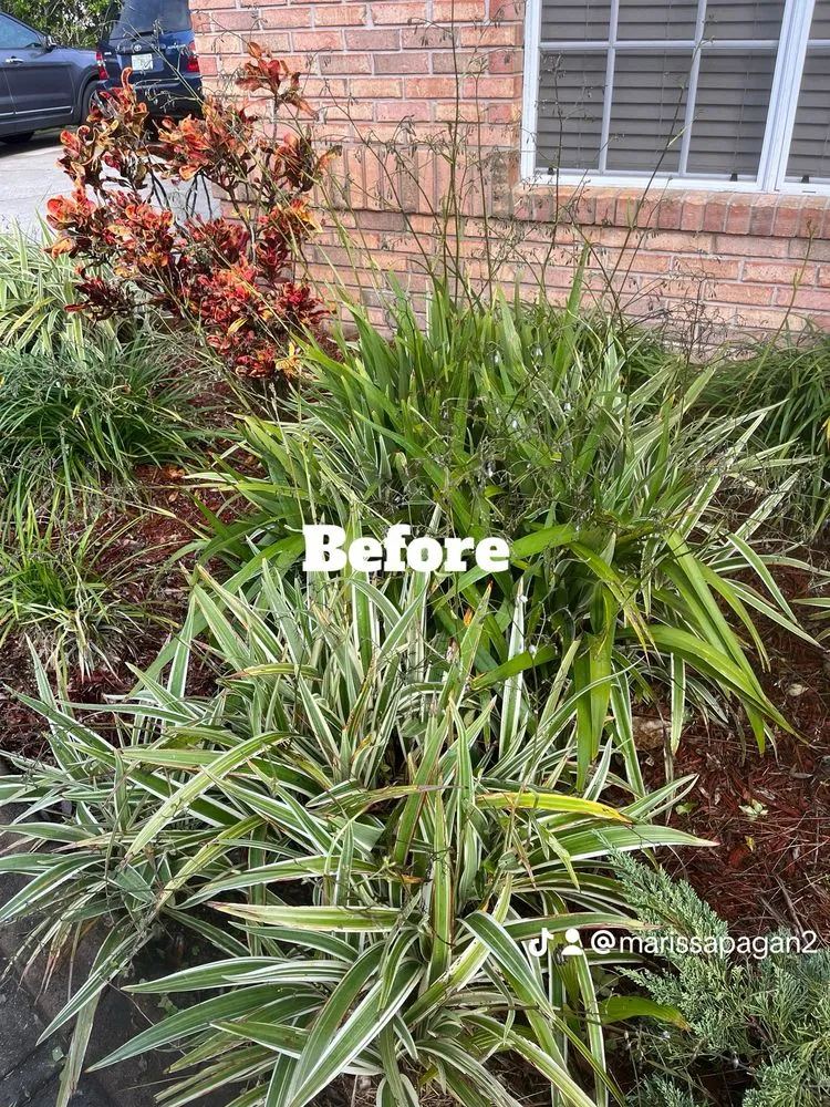 Top-rated yard maintenance experts serving Melbourne, FL - Ms Lawn Barber