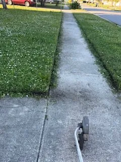 Reliable residential landscaping in Melbourne, FL - Ms Lawn Barber