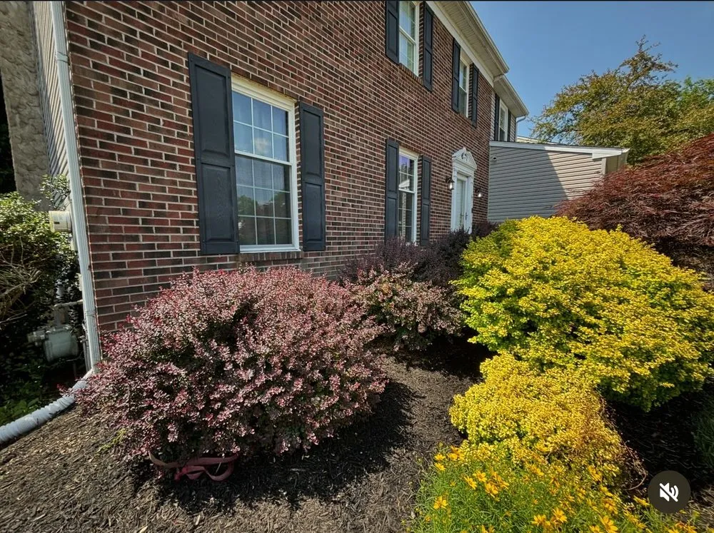 Local lawn mowing service for beautiful yards across Langhorne, PA - MS Lawn Care