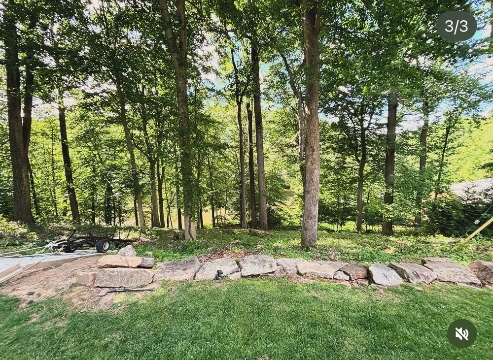 Reliable yard cleanup service experts serving Langhorne, PA - MS Lawn Care