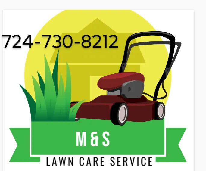 Expert yard maintenance experts serving Pulaski, PA - M&S lawn care