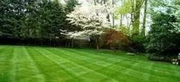 Affordable yard maintenance in West Chicago, IL by MS Lawn Care