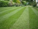 Professional yard maintenance with custom design in West Chicago, IL by MS Lawn Care