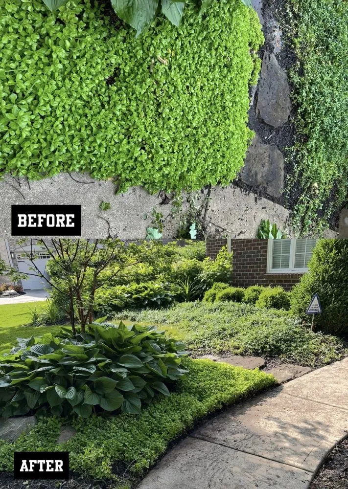 Expert landscaping services in Zionsville, IN - M&S Outdoor Solutions