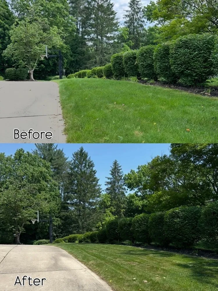 Local landscape design in Zionsville, IN - M&S Outdoor Solutions