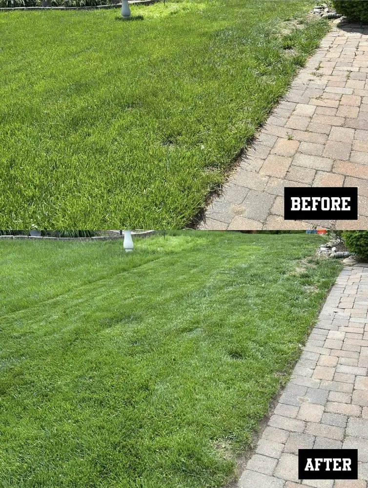 Professional residential landscaping in Zionsville, IN by M&S Outdoor Solutions