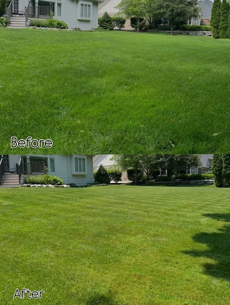 Local landscaping services experts serving Zionsville, IN - M&S Outdoor Solutions