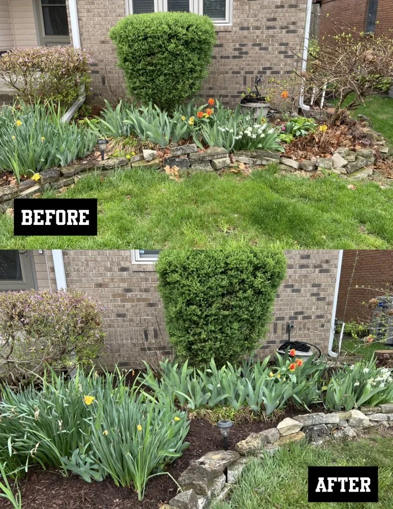 Affordable landscaping services for outdoor upgrades in Zionsville, IN by M&S Outdoor Solutions