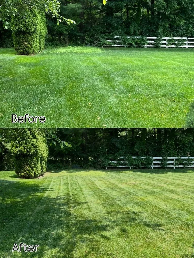 Expert outdoor landscaping near you in Zionsville, IN by M&S Outdoor Solutions