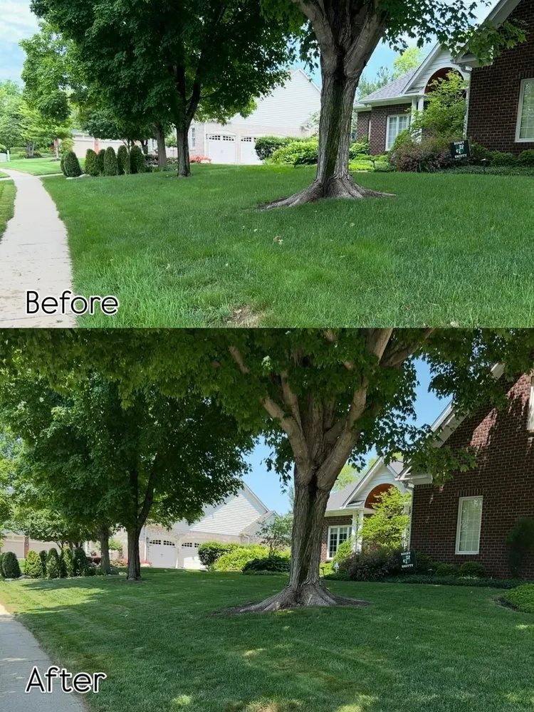 Custom landscaping services experts serving Zionsville, IN - M&S Outdoor Solutions