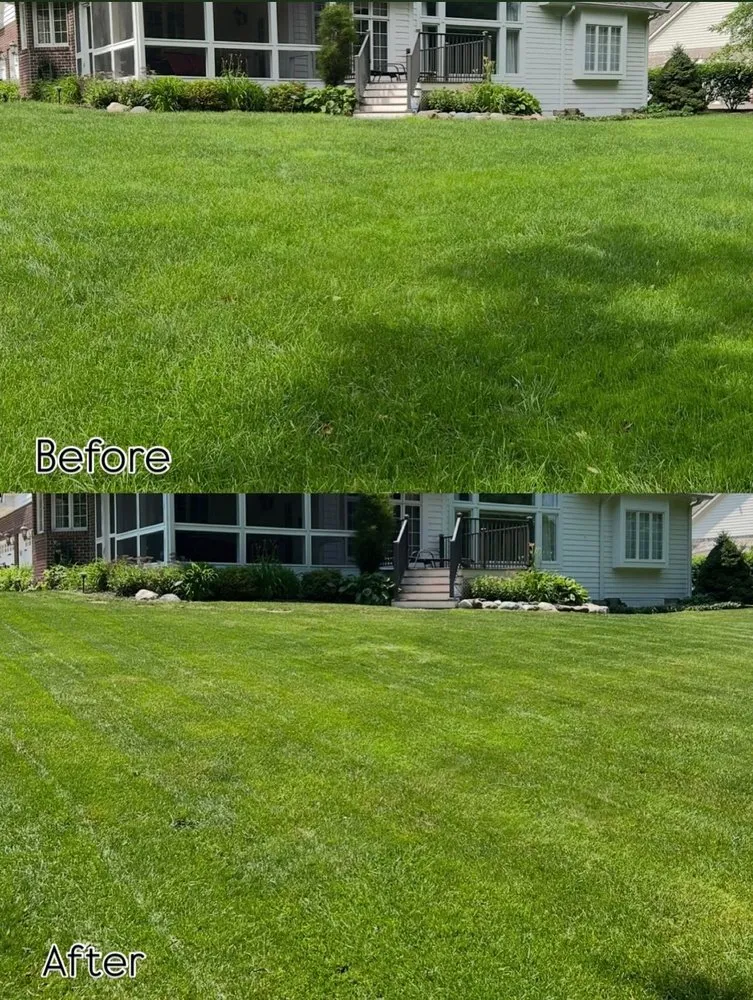 Trusted lawn care service in Zionsville, IN by M&S Outdoor Solutions