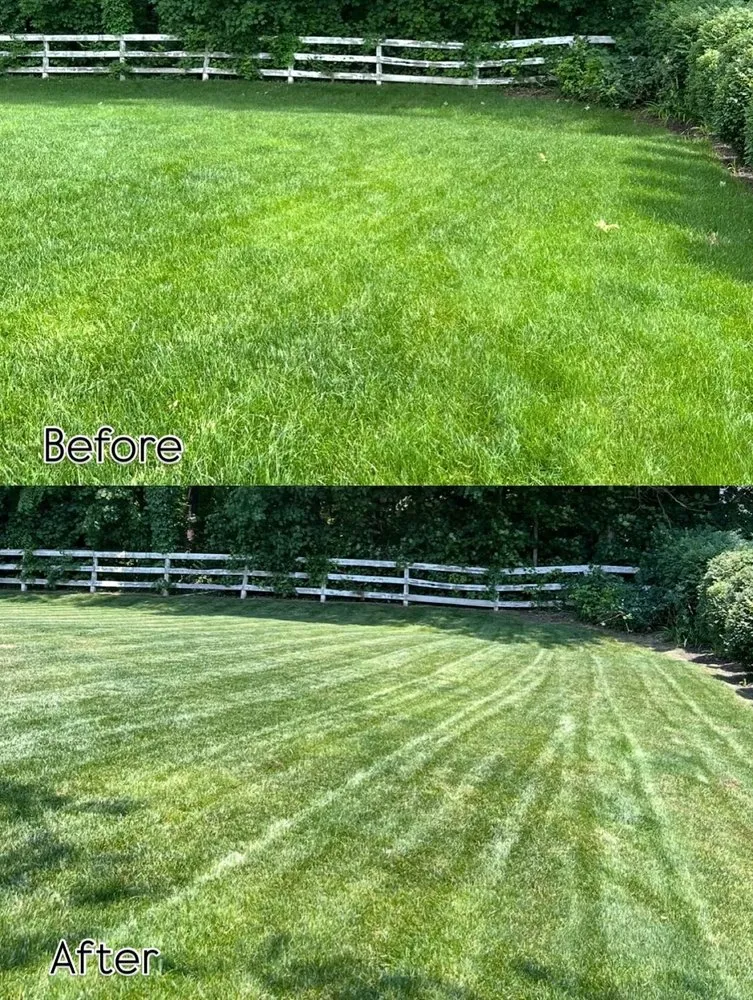 Affordable landscape installation for year-round maintenance across Zionsville, IN - M&S Outdoor Solutions