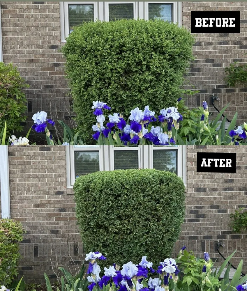 Reliable yard cleanup service for outdoor upgrades across Zionsville, IN - M&S Outdoor Solutions