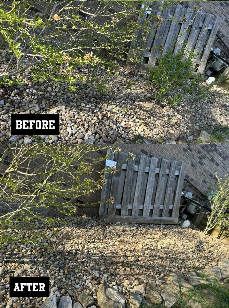 Affordable yard maintenance for beautiful yards in Zionsville, IN by M&S Outdoor Solutions