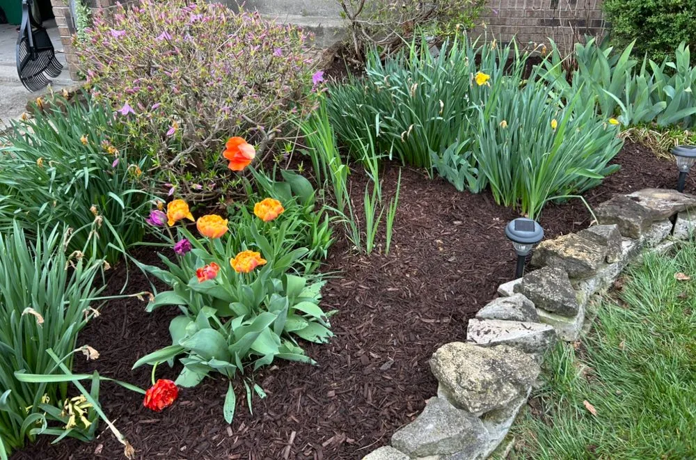 Reliable garden landscaping experts serving Zionsville, IN - M&S Outdoor Solutions