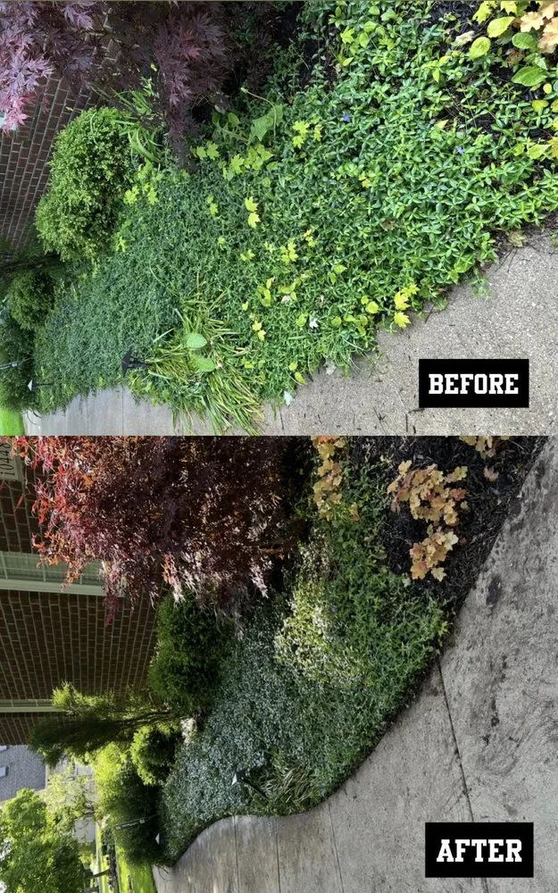 Top-rated yard cleanup service with custom design across Zionsville, IN - M&S Outdoor Solutions