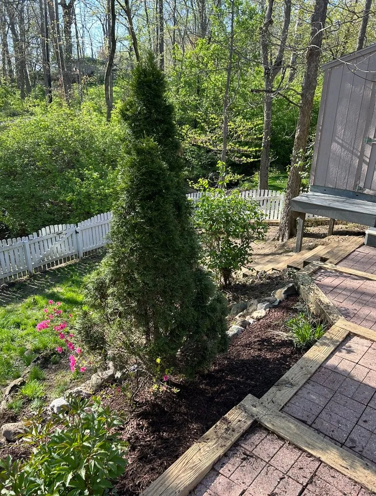 Trusted landscape design for beautiful yards in Zionsville, IN by M&S Outdoor Solutions