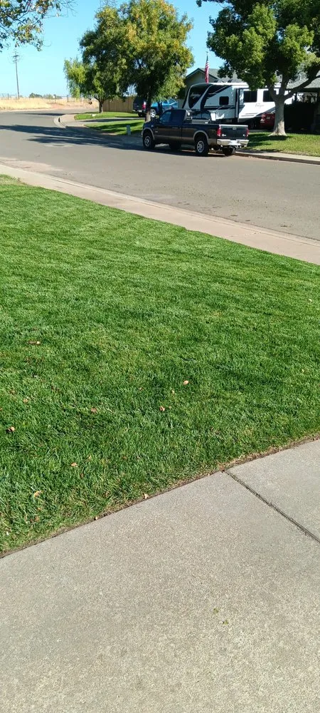 Professional landscaping services for residential properties in Red Bluff, CA by M&S Precision handyman service