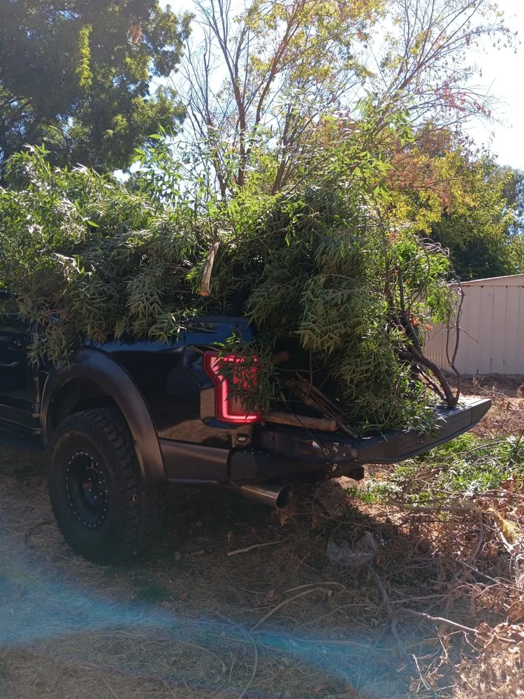 Trusted lawn mowing service for homes across Red Bluff, CA - M&S Precision handyman service