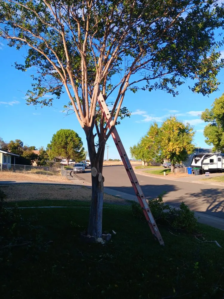 Professional outdoor landscaping in Red Bluff, CA - M&S Precision handyman service