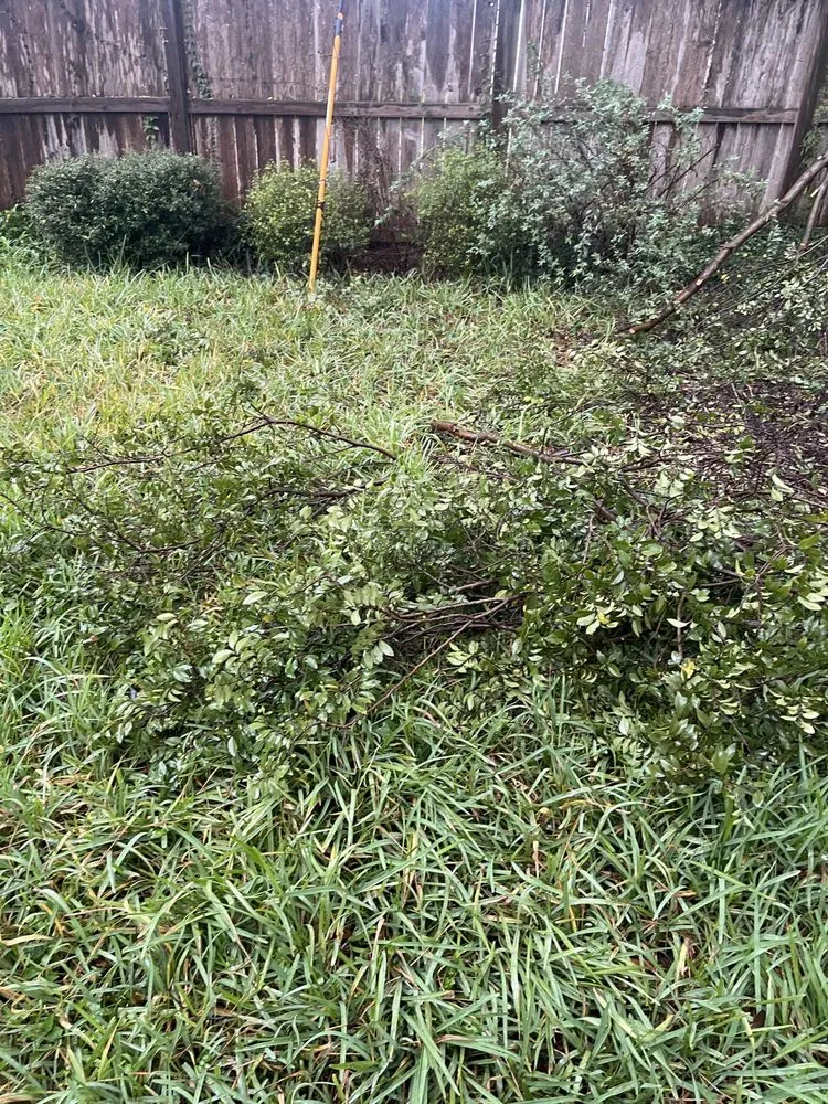 Custom garden landscaping in Houston, TX by M's Pure Landscaping