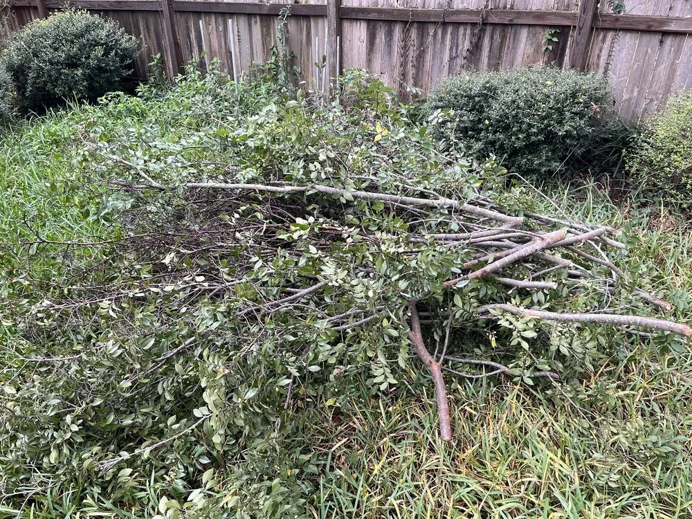 Professional yard cleanup service for outdoor upgrades across Houston, TX - M's Pure Landscaping