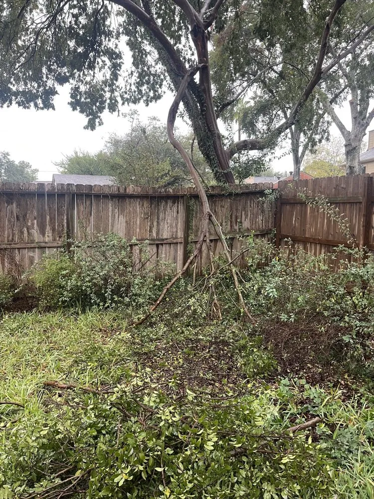 Custom outdoor landscaping in Houston, TX - M's Pure Landscaping