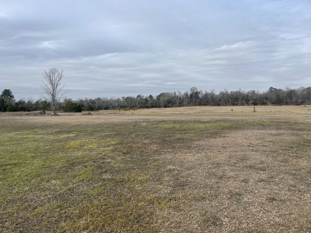 Local lawn care service for outdoor upgrades in Houston, TX by M's Pure Landscaping