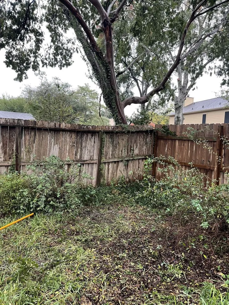 Reliable yard maintenance in Houston, TX by M's Pure Landscaping