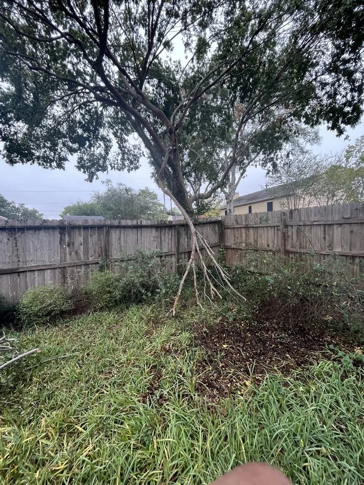 Professional yard cleanup service for year-round maintenance in Houston, TX by M's Pure Landscaping