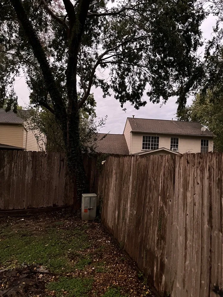 Trusted lawn mowing service in Houston, TX - M's Pure Landscaping