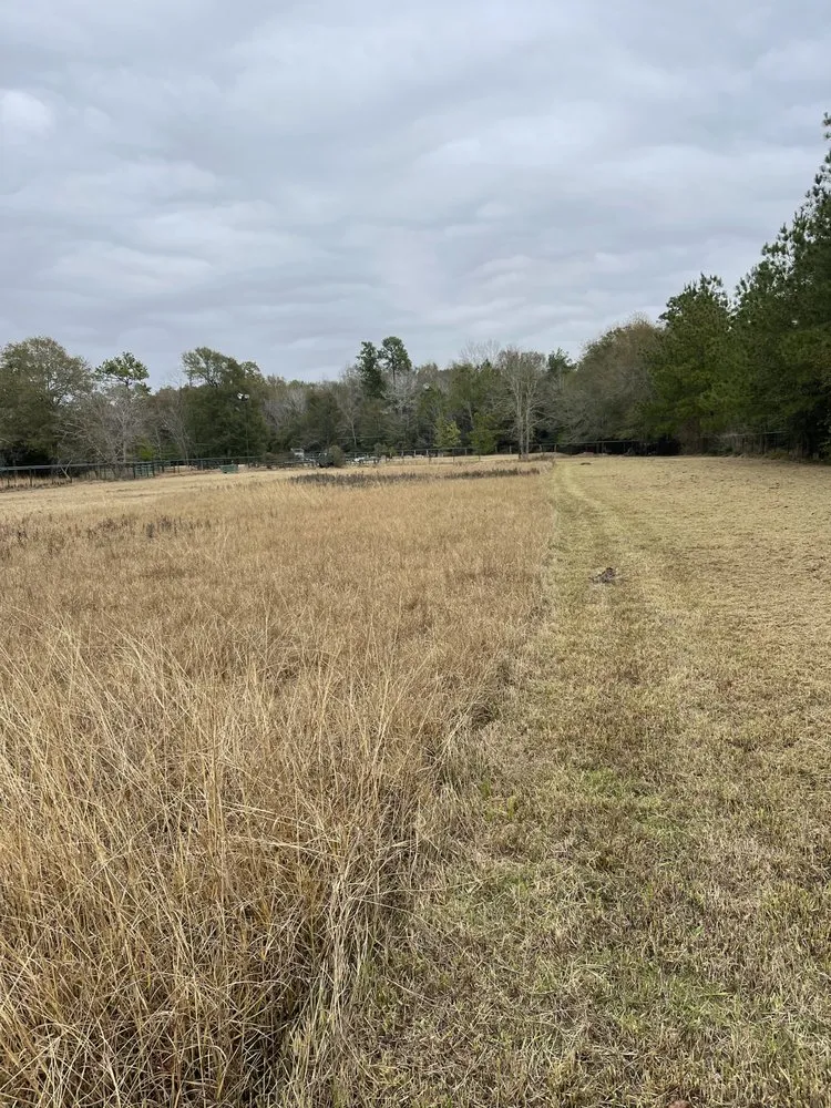 Professional garden landscaping for residential properties in Houston, TX by M's Pure Landscaping