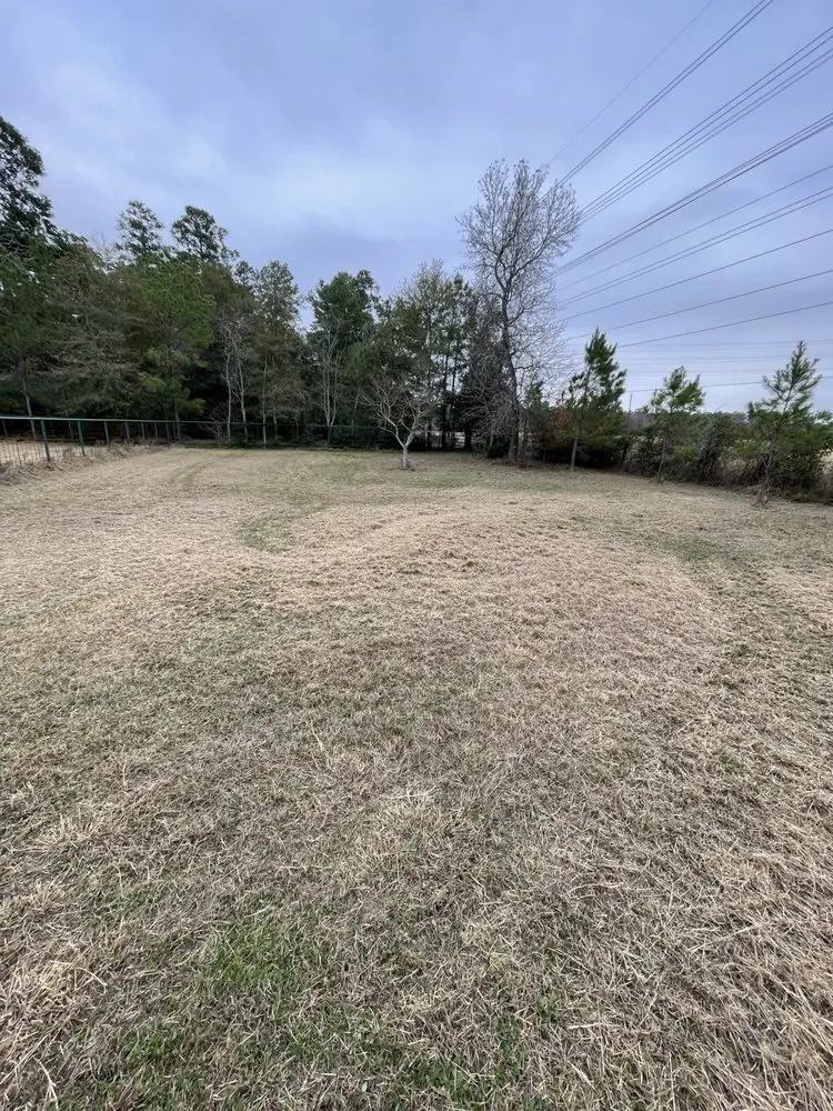 Reliable garden landscaping experts serving Houston, TX - M's Pure Landscaping