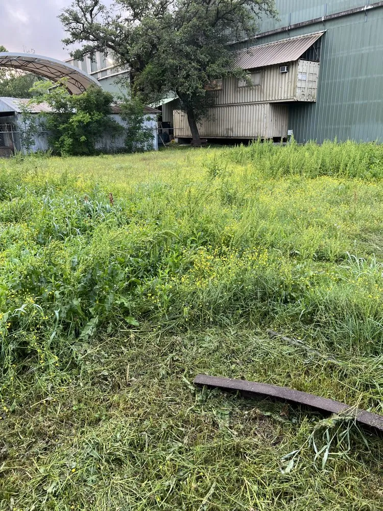 Professional landscaping services in Houston, TX by M's Pure Landscaping