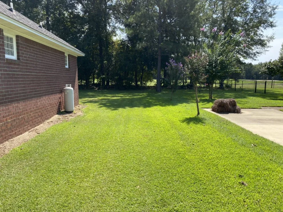 Top-rated lawn mowing service for residential properties in Oswego, SC by M&S Residential Solutions