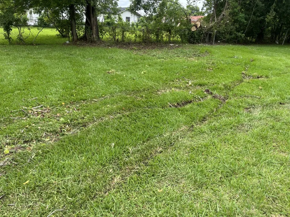 Expert landscape design in Port Arthur, TX by Ms Service lawn