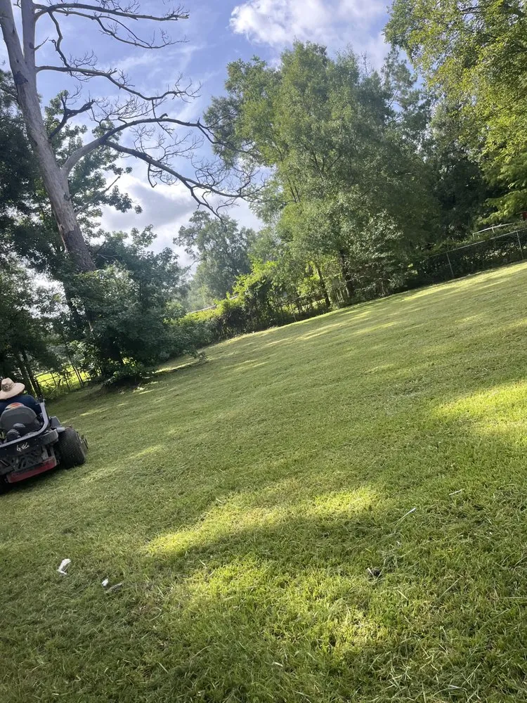 Expert yard maintenance for homes across Port Arthur, TX - Ms Service lawn