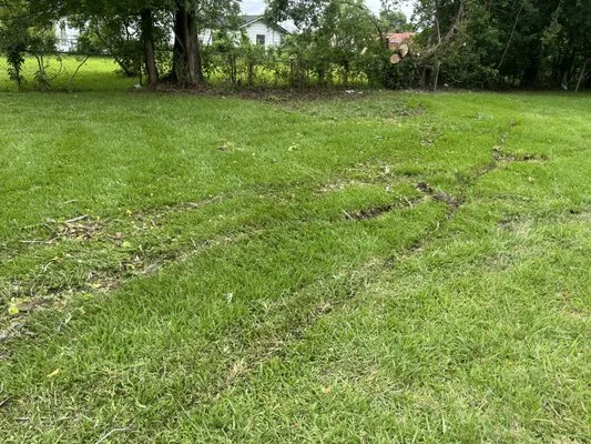 Ms Service lawn Logo