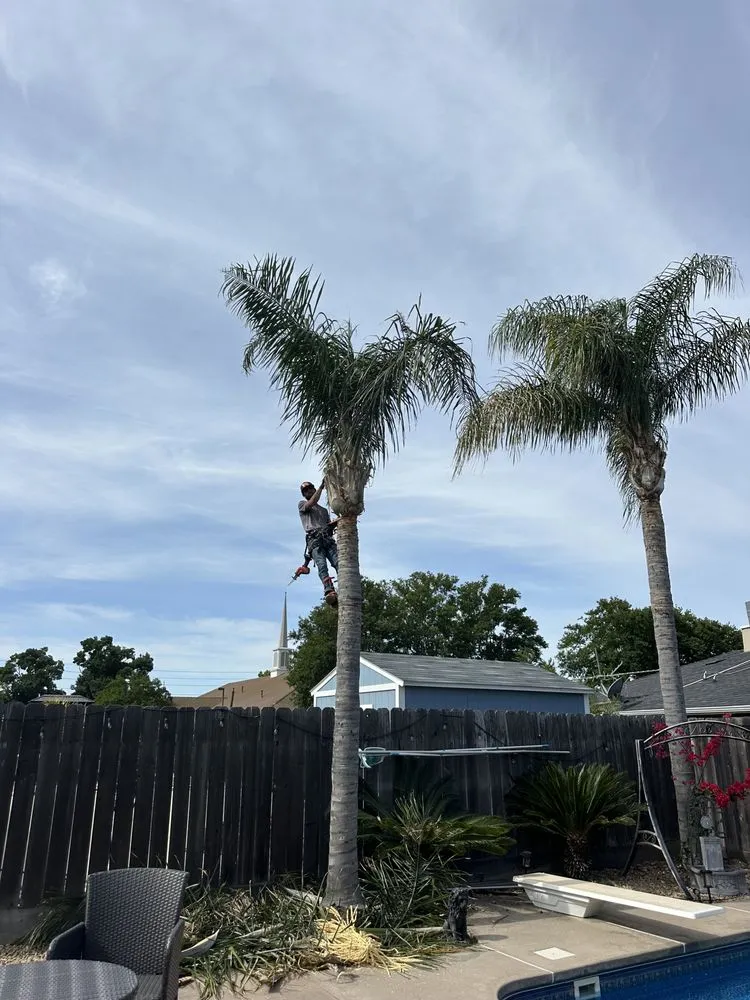 Expert garden landscaping experts serving Ceres, CA - M&S Services