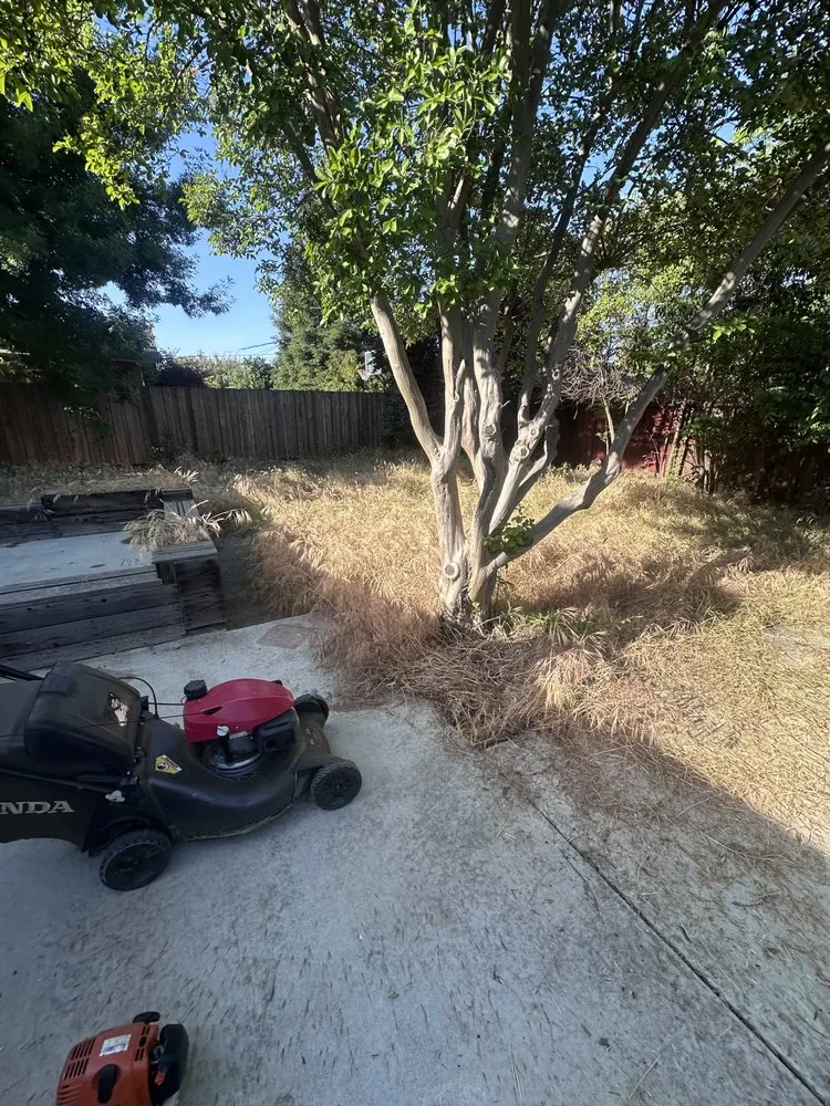 Trusted outdoor landscaping experts serving Ceres, CA - M&S Services