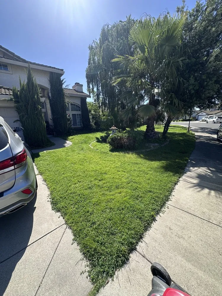 Reliable residential landscaping experts serving Ceres, CA - M&S Services