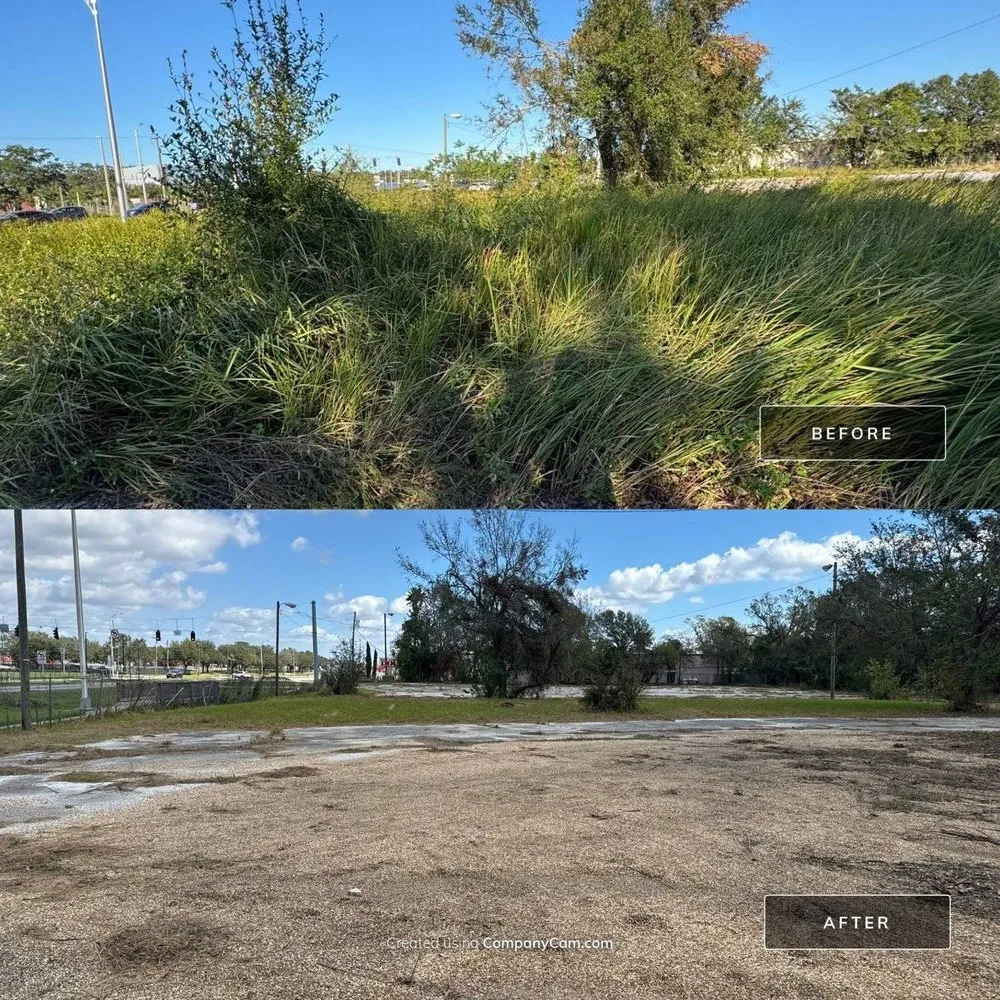 Professional yard maintenance for outdoor upgrades in Plant City, FL by MSBG Lawn Maintenance